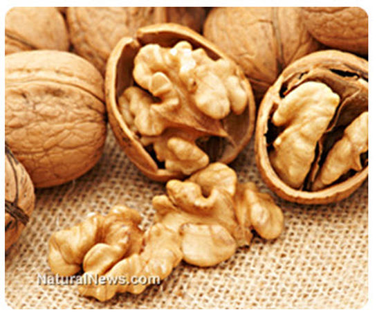 Eating walnuts and walnut oils slashes heart disease risk by improving multiple biometrics